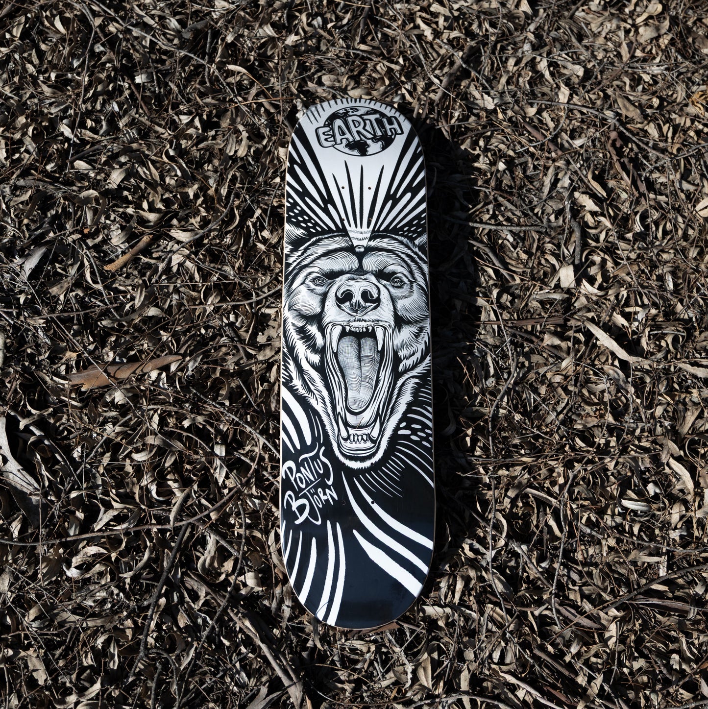 Carnivoire Full Set - Red top LIMITED EDITION