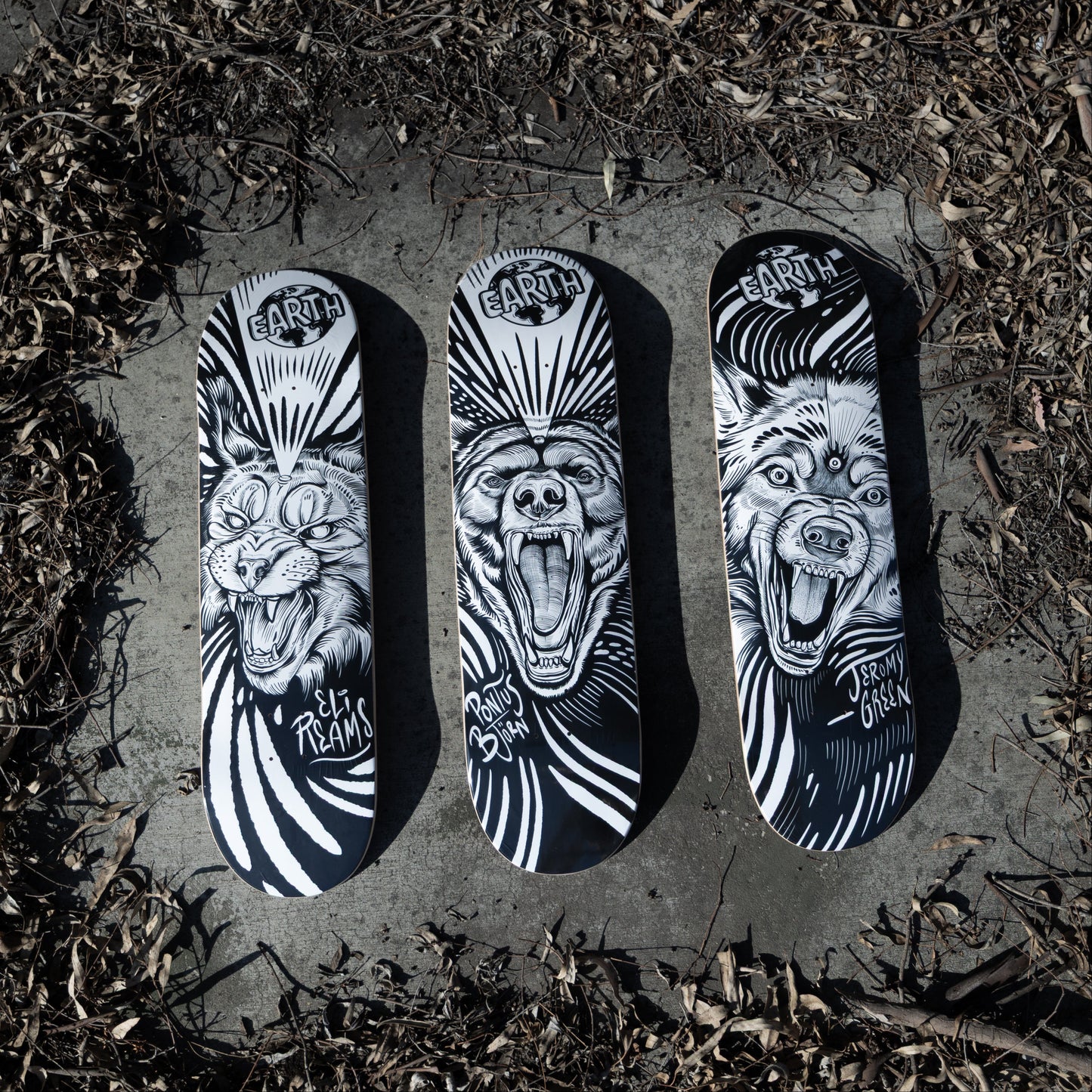 Pontus Björn - BEAR 8.75"