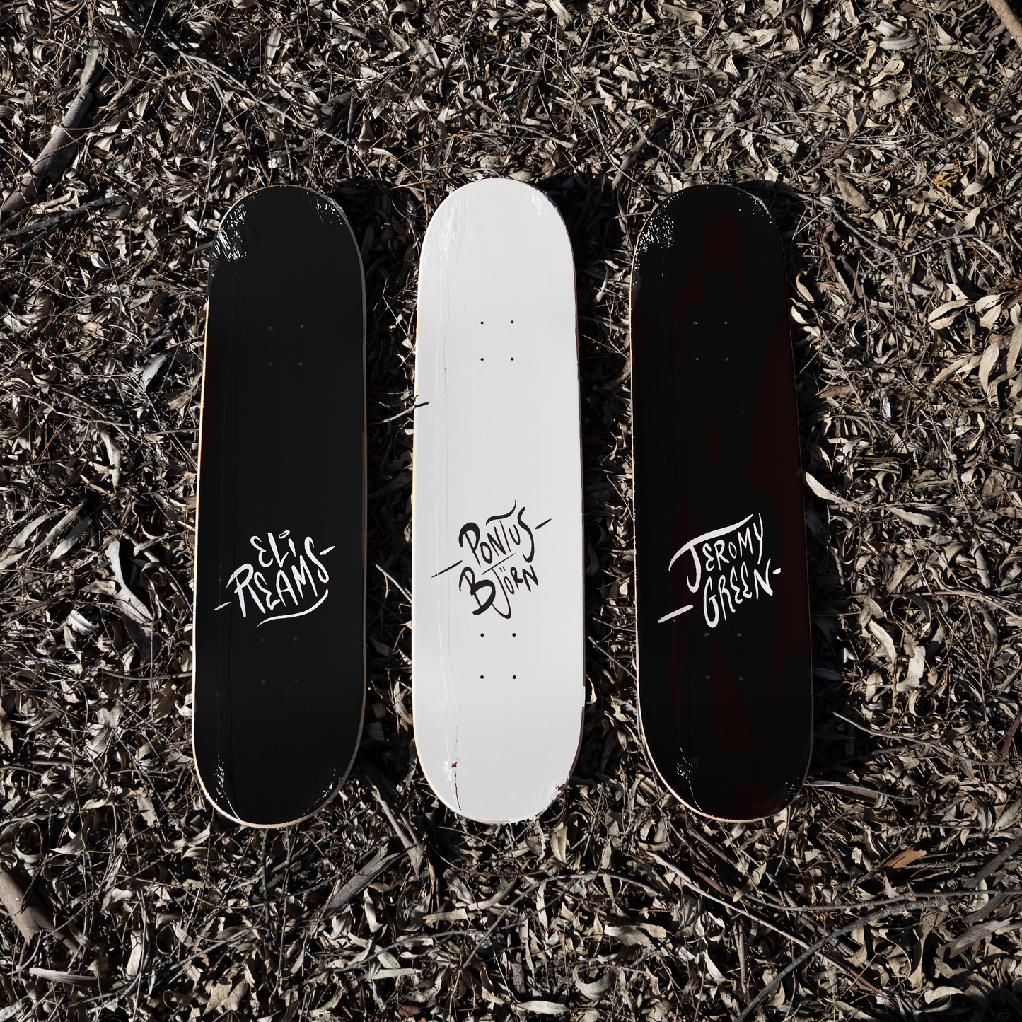 Pontus Björn - BEAR 8.75"