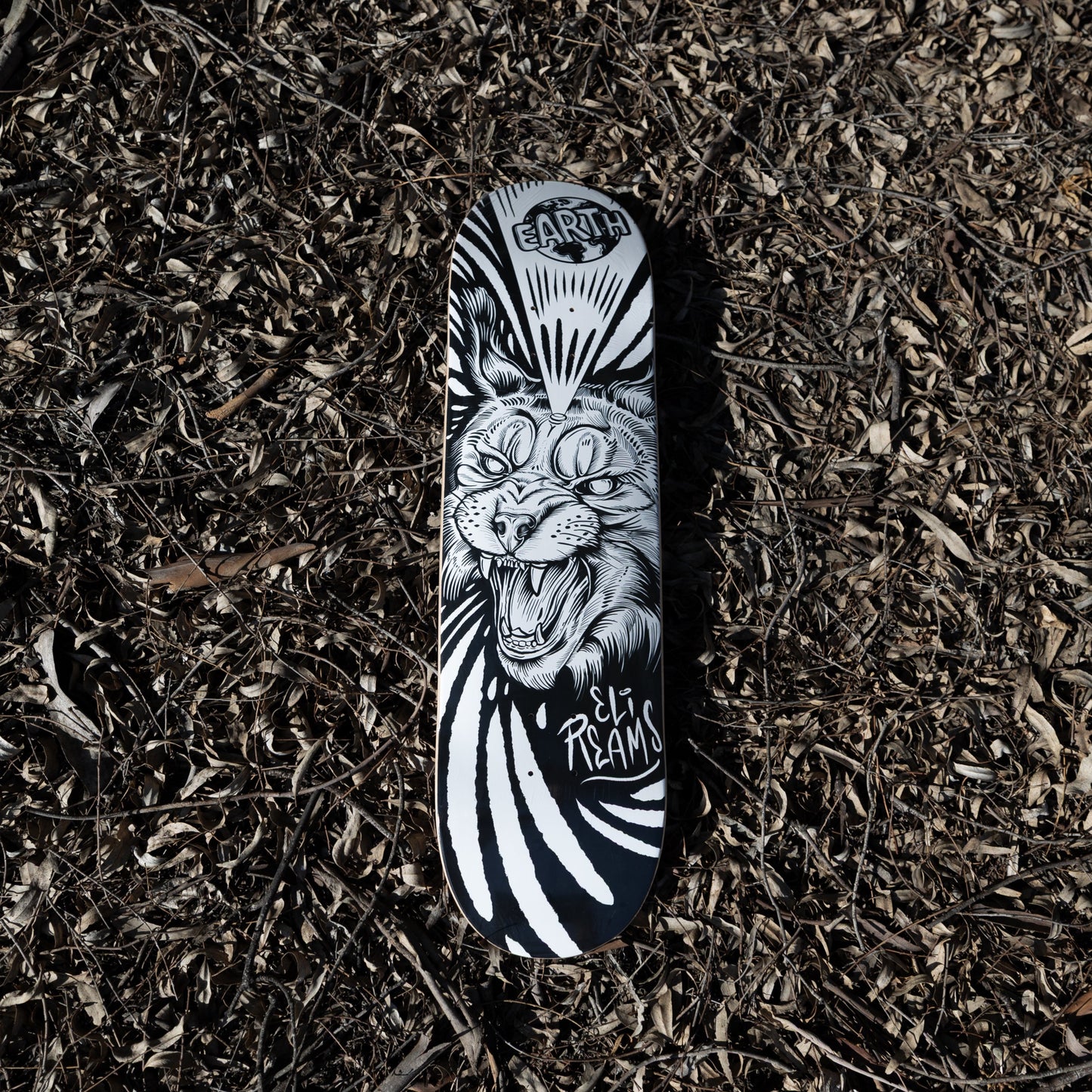 Carnivoire Full Set - Red top LIMITED EDITION
